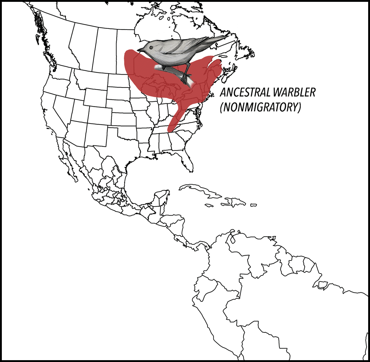 NOrth to south migration map- large