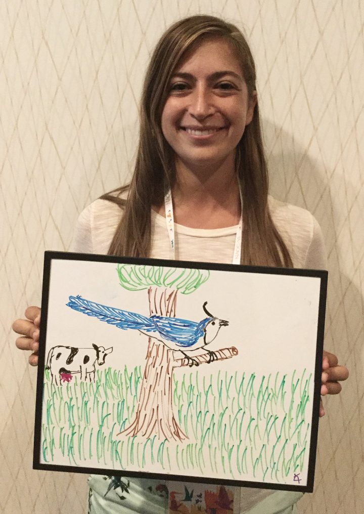 Lillie Kline studies Neotropic agroecosystems & drew this White-throated Magpie-Jay in Costa Rica and cow neighbor.