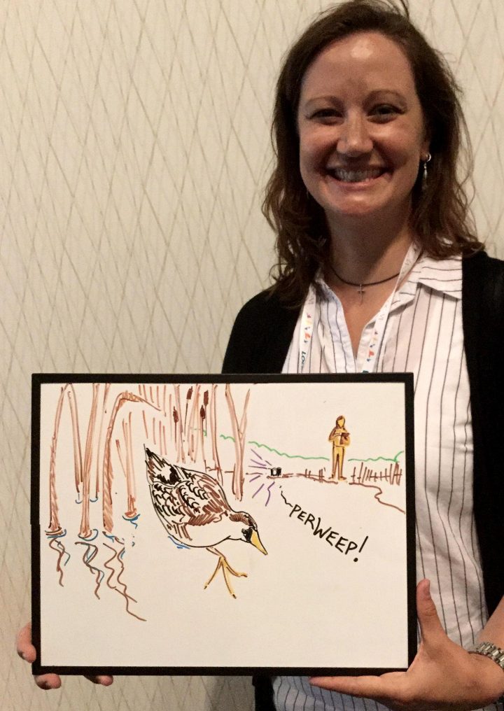 NHill studies the effect of invasive vegetation on secretive marsh birds in Minnesota.