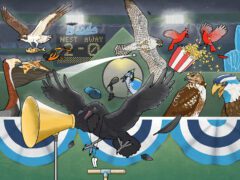 cartoon of raven, hawk, falcon, Osprey, Blue Jays, and cardinals cheering for sports teams