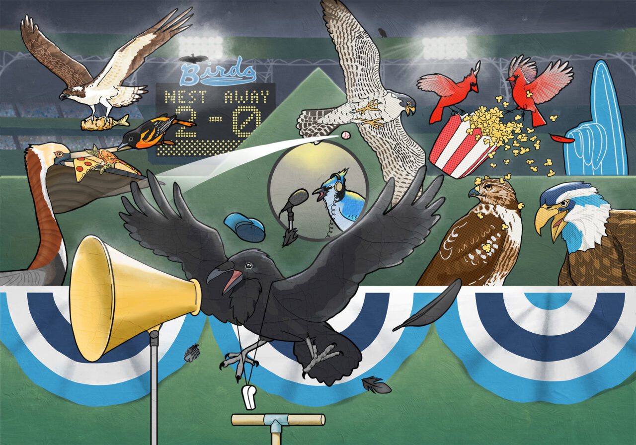 cartoon of raven, hawk, falcon, Osprey, Blue Jays, and cardinals cheering for sports teams