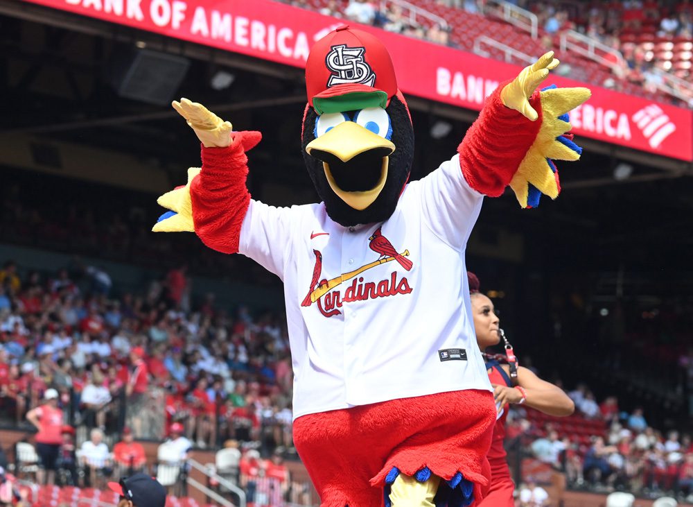 St. Louis Cardinals mascot dressed in a team jersey and cap, posing with arms raised in a baseball stadium.