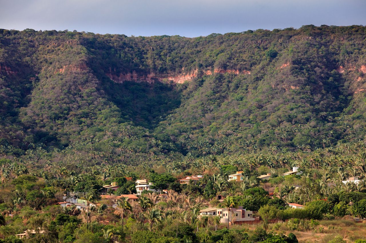 The population in the city of Crato has expanded by more than 30 percent in the last two decades. As more people seek homes, residential areas are pushing up into the hills of the Chapada do Araripe—and into the habitat of the Araripe Manakin. Photo by Gerrit Vyn