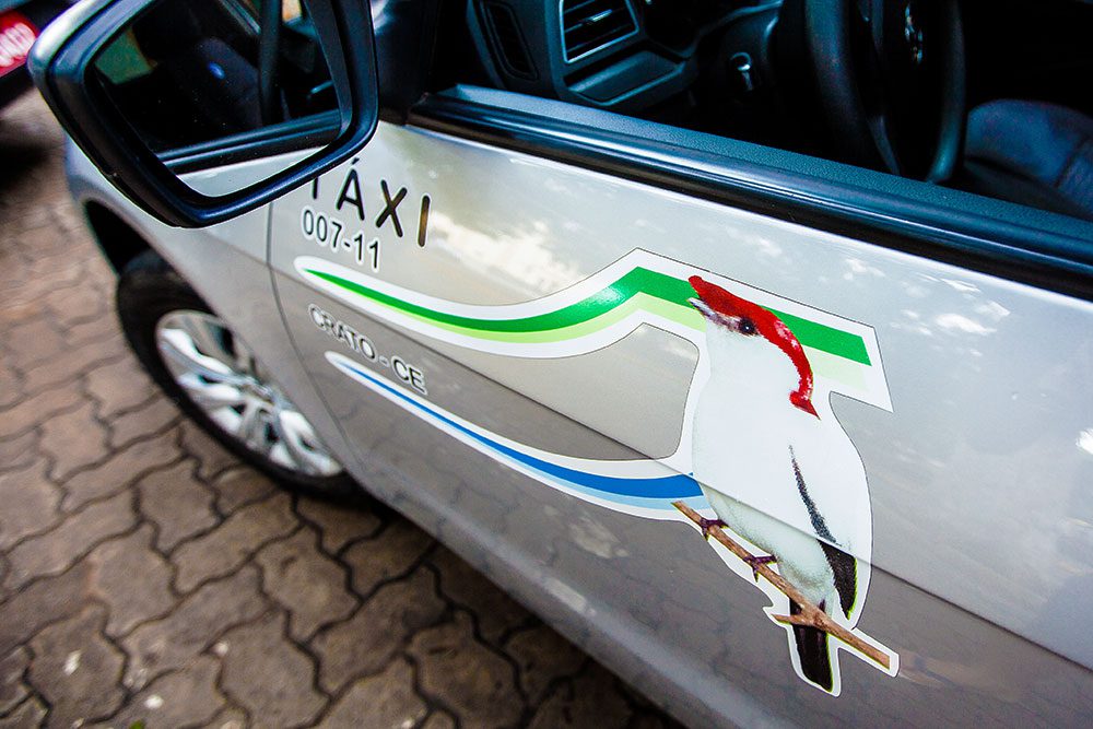 Photo by Helio Filho.