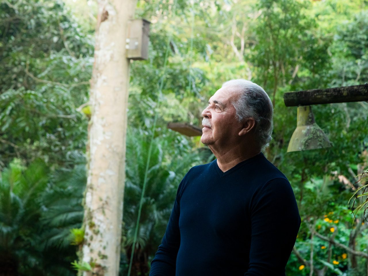 A man standing outdoors surrounded by lush greenery, looking upward.