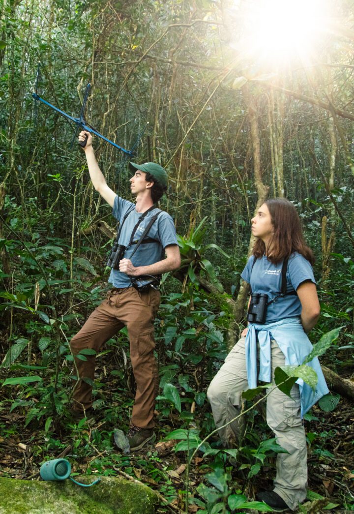 Two field researchers stand in a dense tropical forest, one raising a radio-tracking antenna toward the canopy while the other watches.