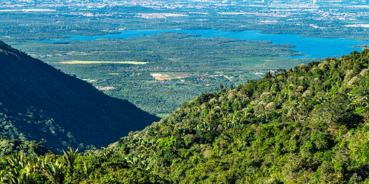 View from a forested mountainside overlooking a wide valley filled with dense green vegetation, winding waterways, and a distant cityscape on the horizon.