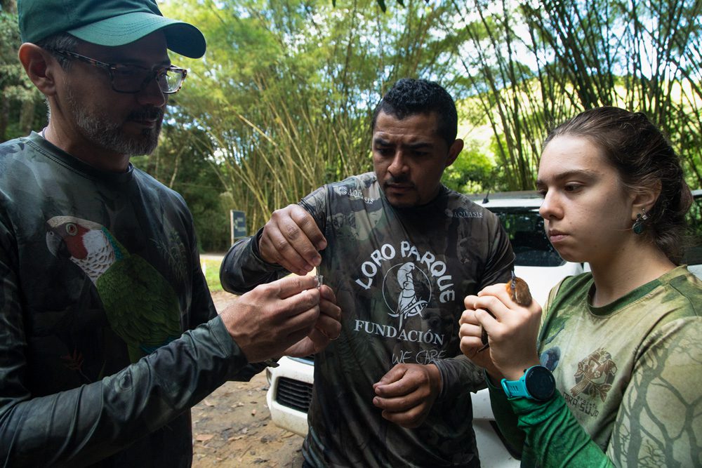 Three people stand outdoors examining a small bird.
