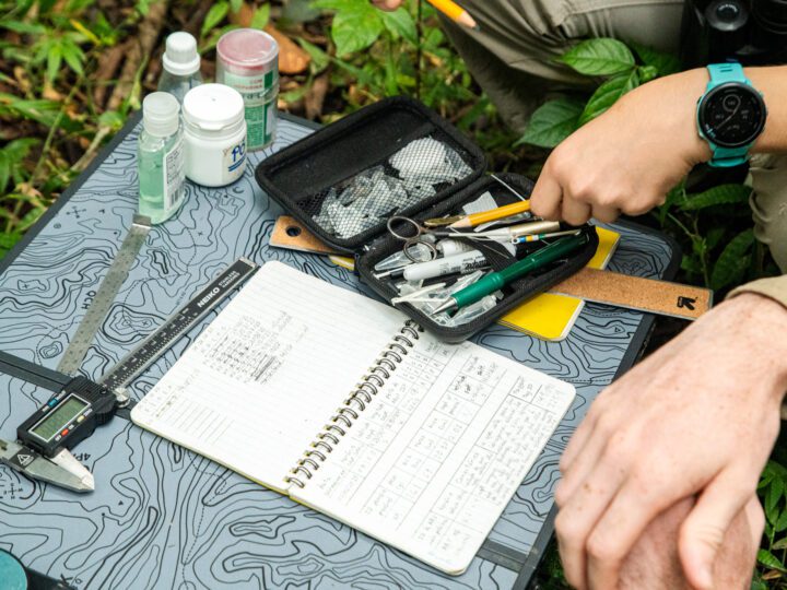 A close-up view of field researchers’ tools and notes spread out on a table in the forest, including calipers, pens, and a detailed data notebook.