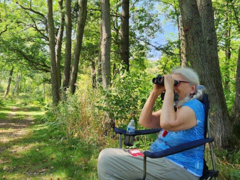 Woman sitting in a chair with binoculars, birdwatching along a forest trail.