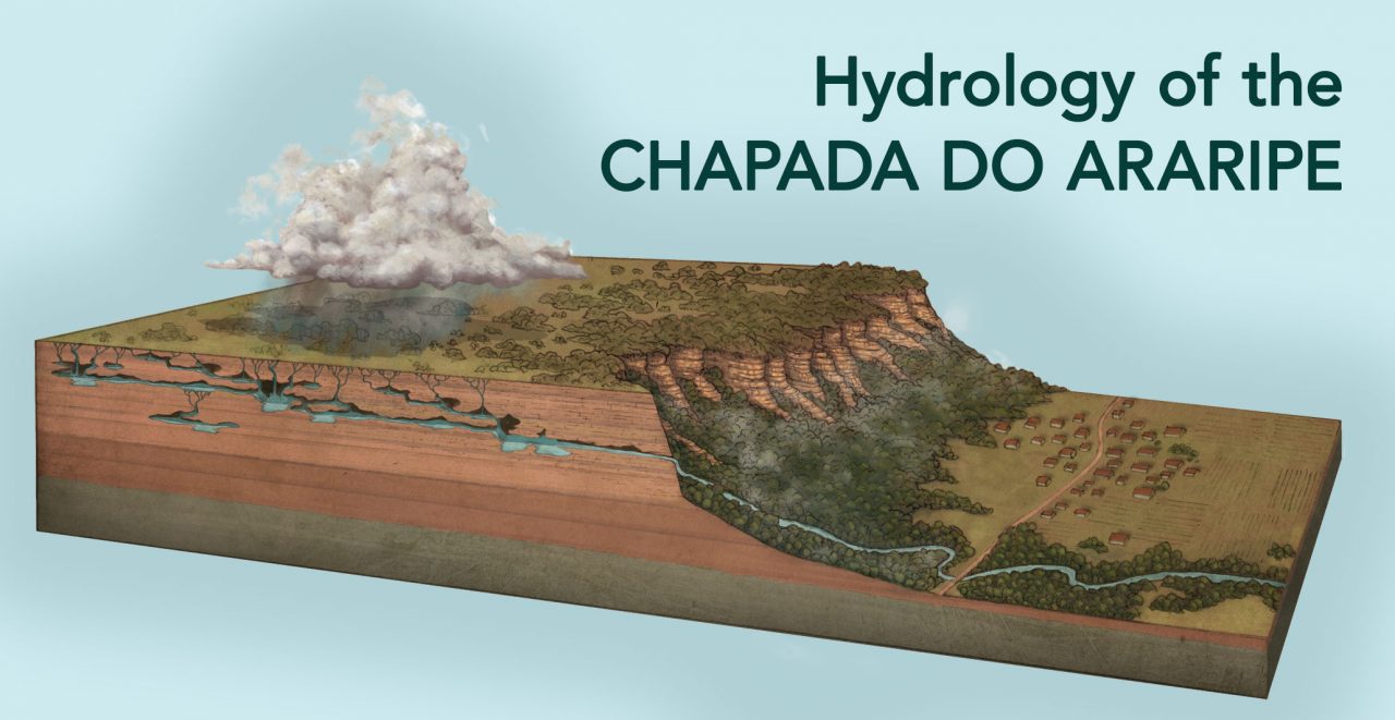 Rainwater falls on the top of the Araripe plateau, percolates into the soil, collects in underground pools, and then migrates sideways to emerge as springs on the side of the plateau—a process that can take thousands of years.