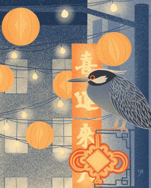 An illustration of a bird perched in an urban setting, surrounded by orange lanterns and string lights, with Chinese characters and decorative elements in the background.