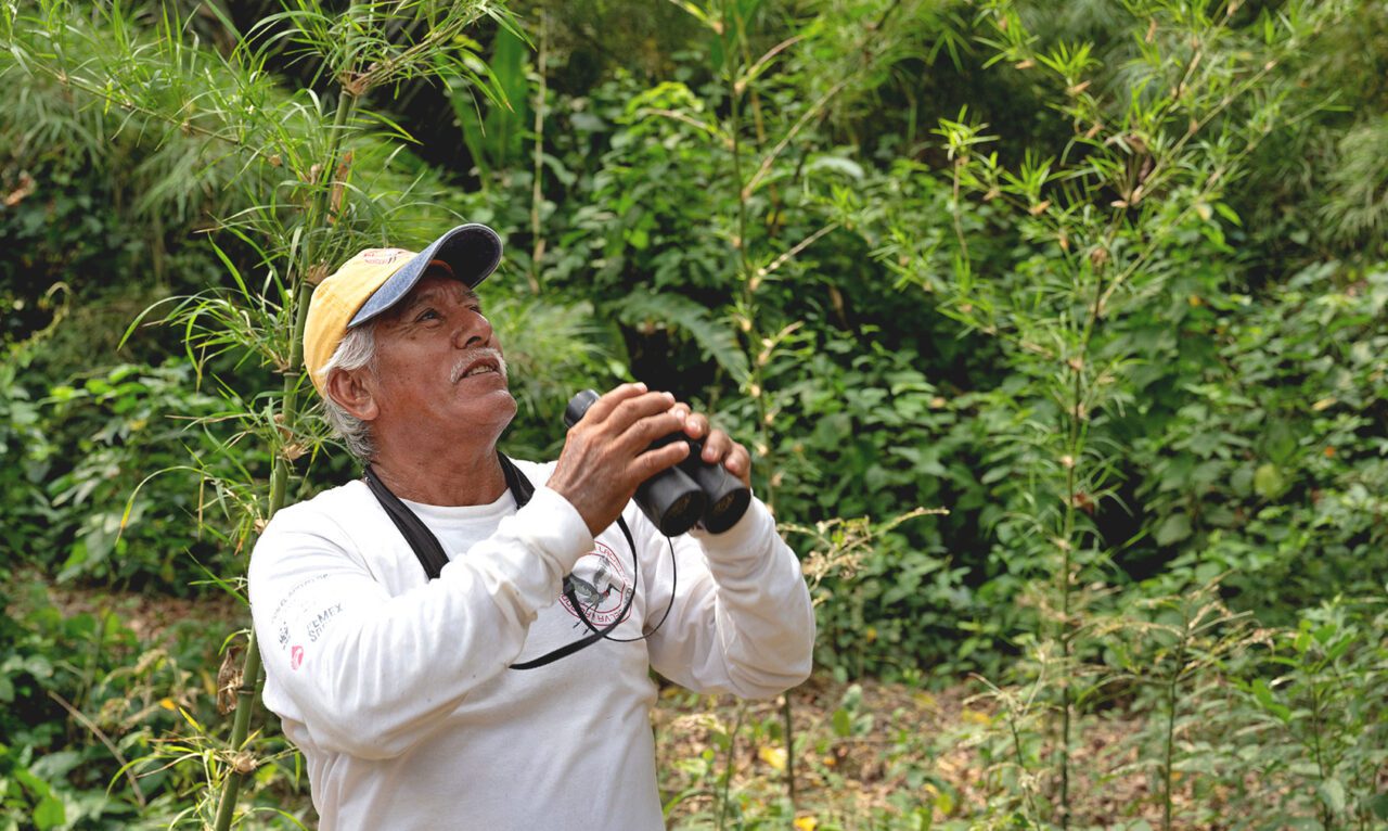 An older man stands in the forest holding binoculars, looks up and smiles.
