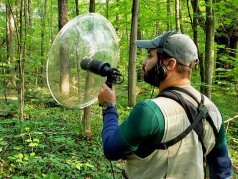 Bearded man with headphones and a parabolic receiver stands on the woods.