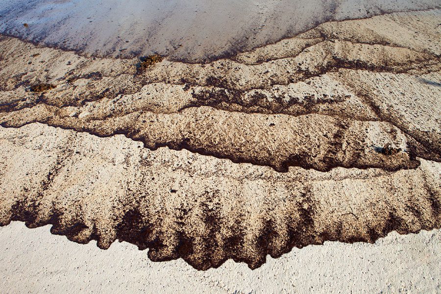 Scenes from 2010: Oil darkened the booms set up to try to protect Raccoon Island, as well as the pelicans on the Island. Photo by Gerrit Vyn.