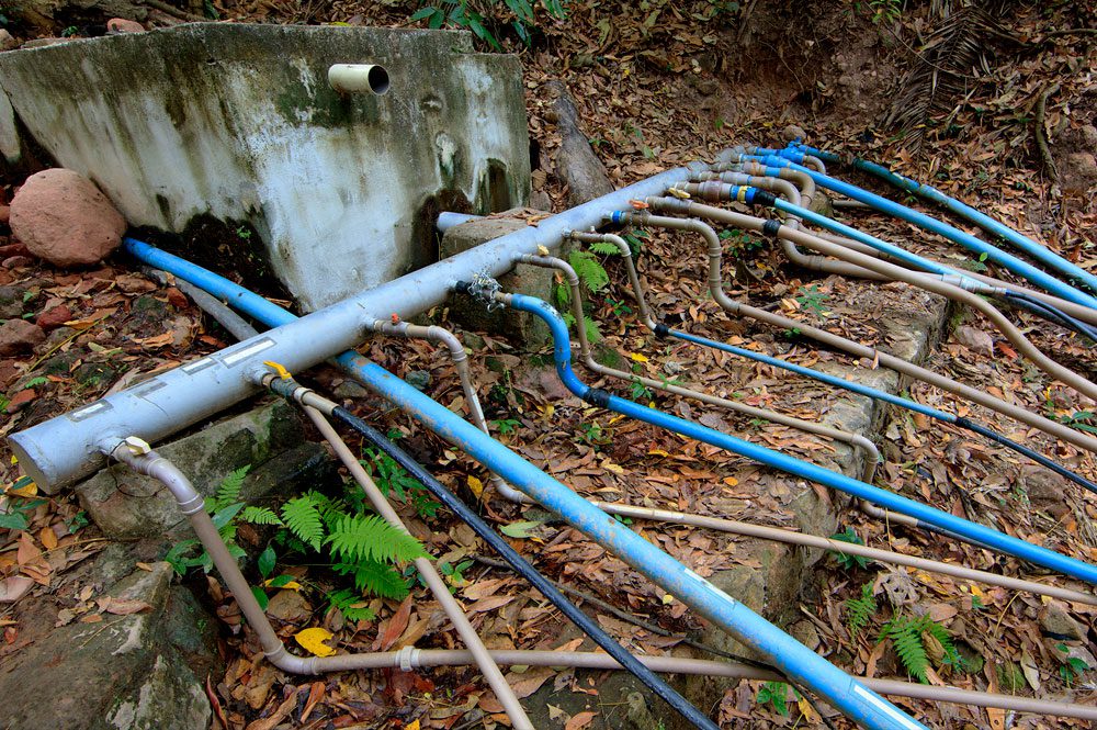 Pipes tap into a cistern at the Batateiras Nascente, where what used to be a rushing spring-fed stream is now a dry gully. Some of the pipes run around the cistern and tap directly into the spring farther up the ravine. “People grab the water at the top, because they are afraid somebody else will grab it,” says Aquasis biologist Alberto Campos. Photo by Gerrit Vyn