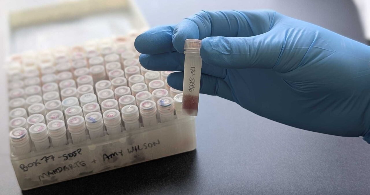 A gloved hand holding a labeled vial containing a small sample, with a box of similar vials organized in rows visible in the background.