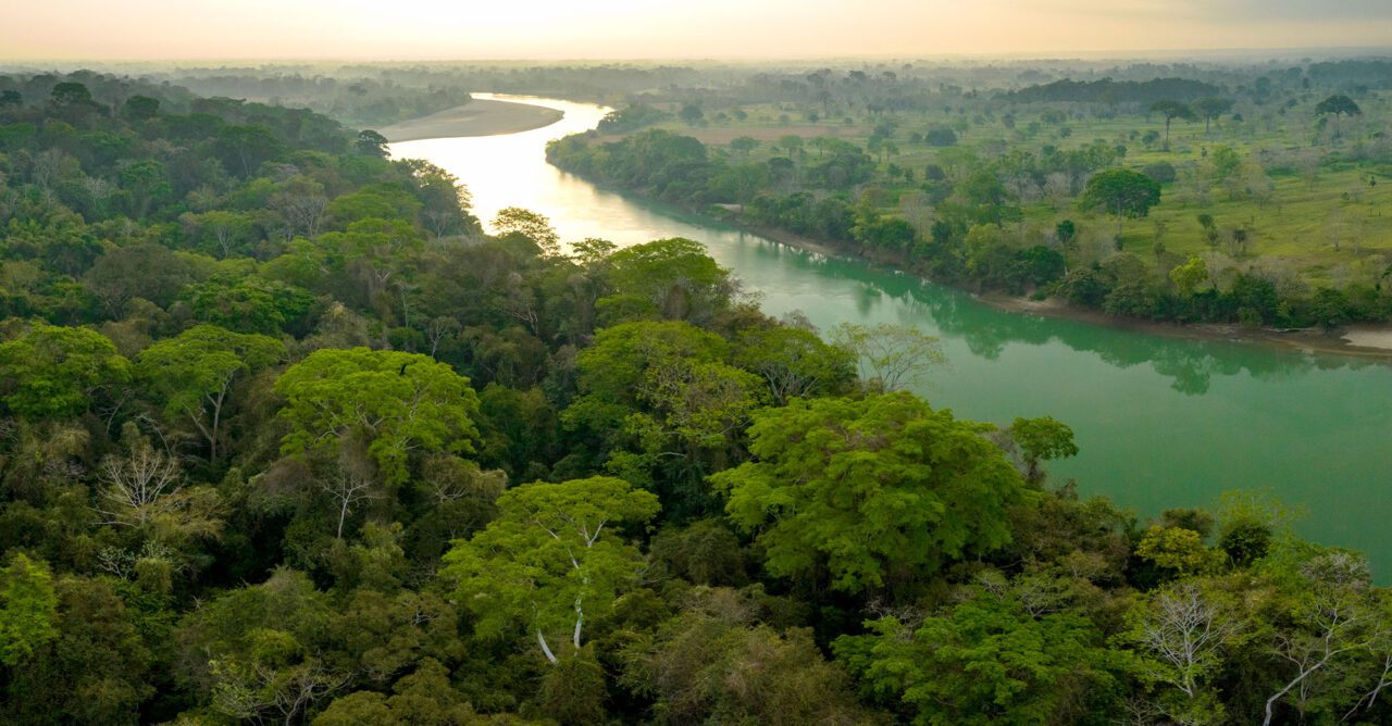 An aerial view of a river with an intact rainforest on one side and a sparse landscape on the right, all in a green glow.
