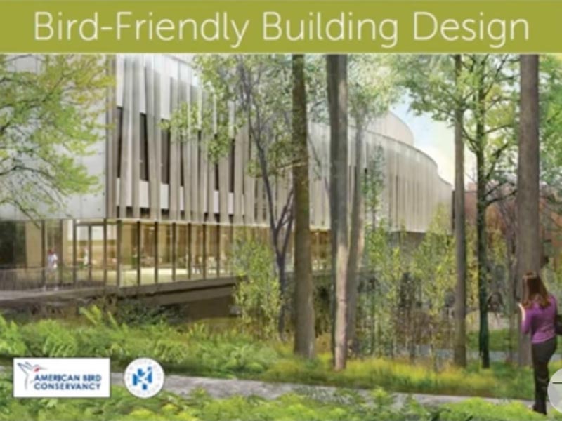 building and trees, with words Bird-Friendly Building Design