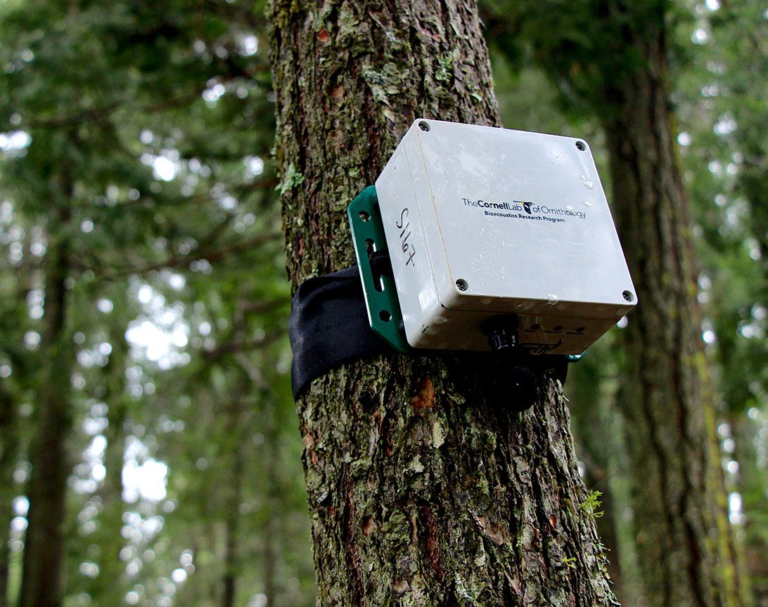 Photo of Swift audio recording unit courtesy of Connor Wood.