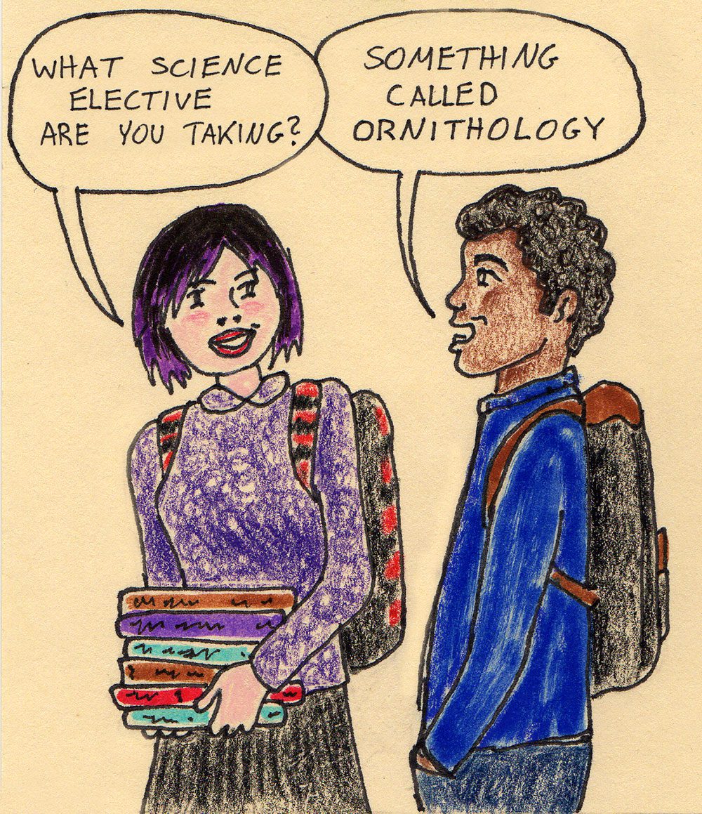 Something called Ornithology. Illustration by Sally Ingraham.