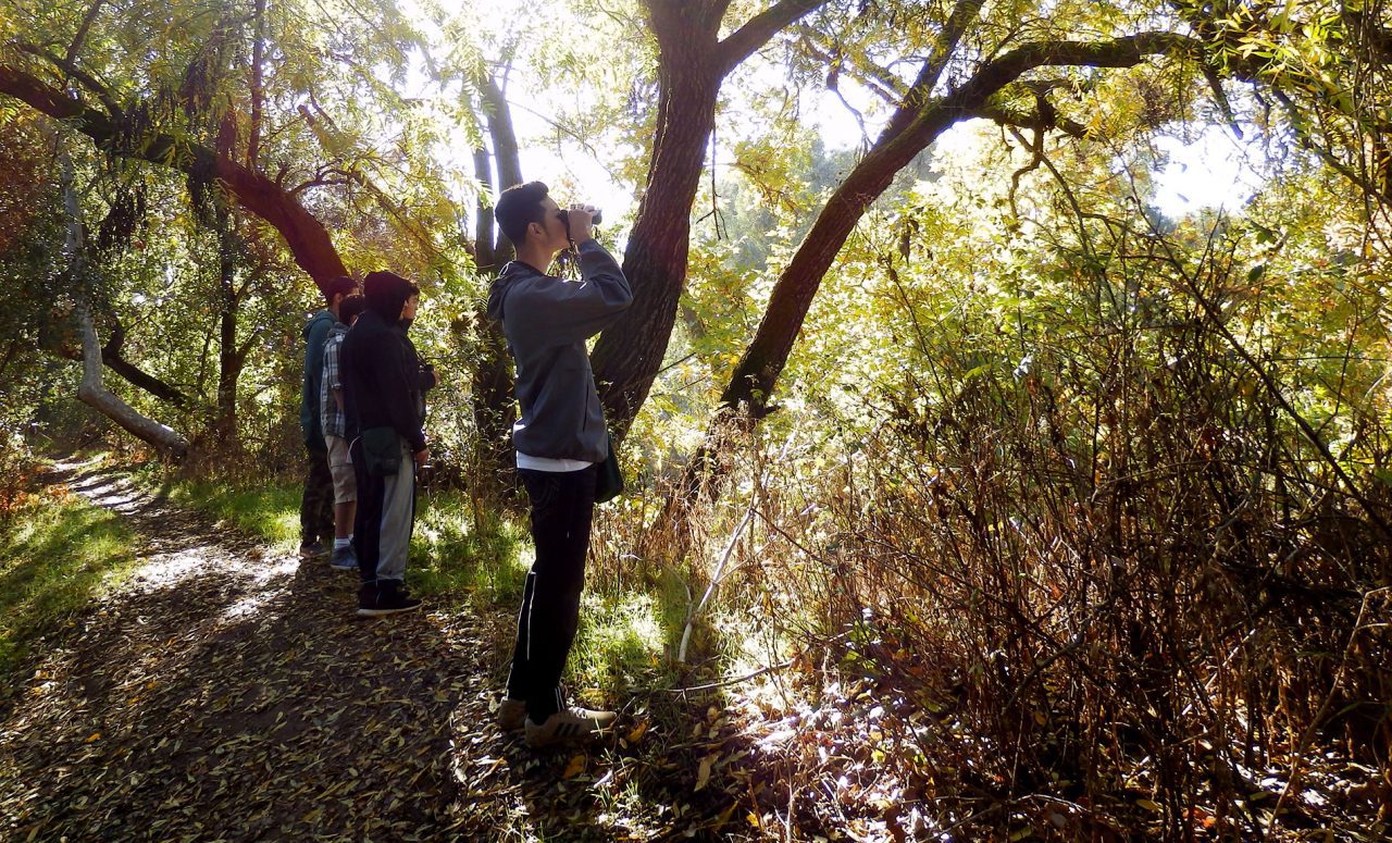 Students in the woods by Jeff Manker