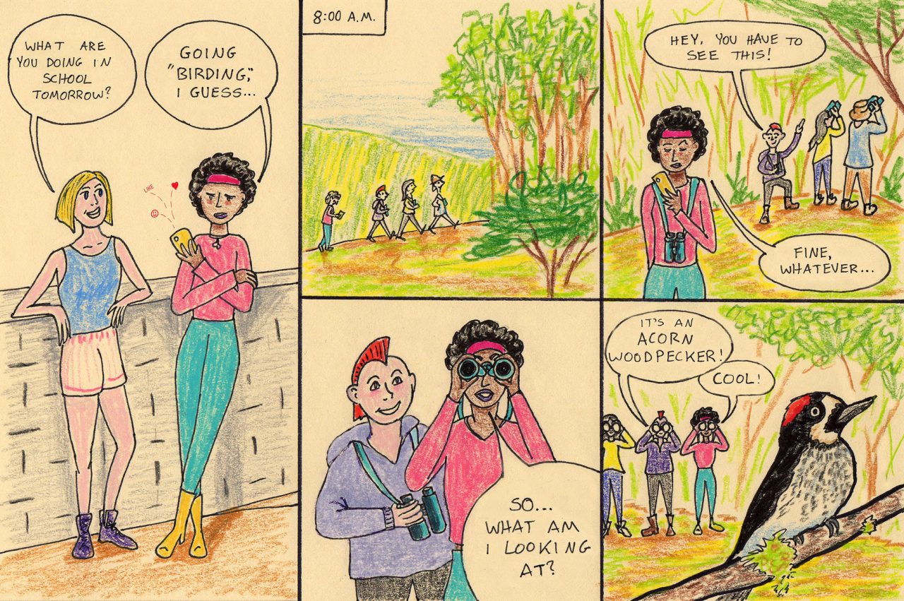 Cool! Illustration by Sally Ingraham