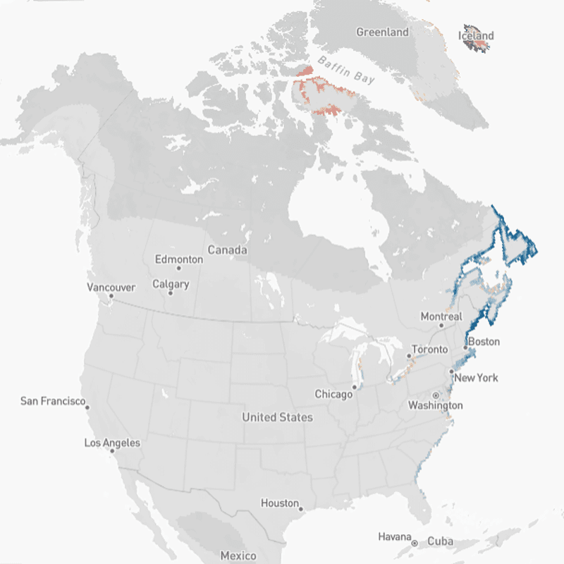 map of North America and Iceland showing the distribution of the Purple Sandpiper. Breeding season shown in red and nonbreeding season in blue.